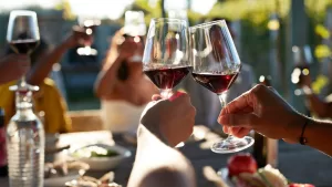 Fiesta De La Vendimia