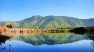 Escapadas cerca de Santiago: Este es el parque que sí o sí debes visitar antes de despedir el verano en Chile