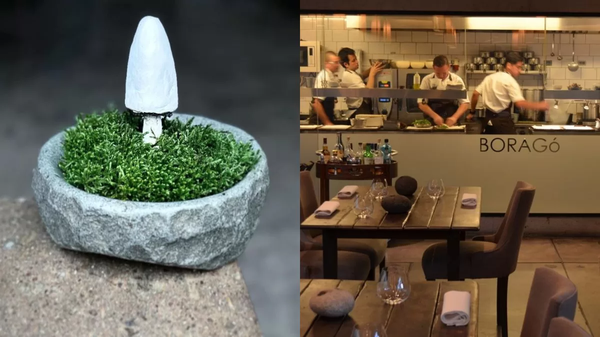 Restaurante Boragó (2)