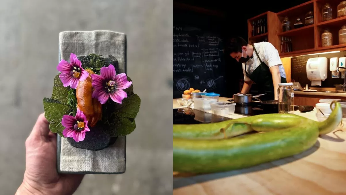 Estuvo al borde de la quiebra y hoy se ubica entre los mejores de Sudamérica: El restaurante chileno que te llevará al paraíso con sus sabores