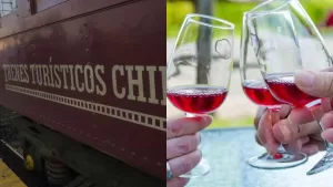 Tren del Recuerdo anuncia especial recorrido con descuento en sus pasajes: Te lleva a popular Fiesta de la Vendimia