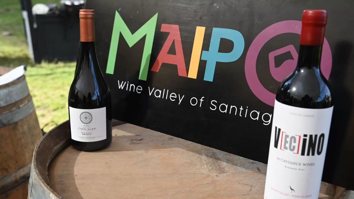 Fiesta De La Vendimia (5)