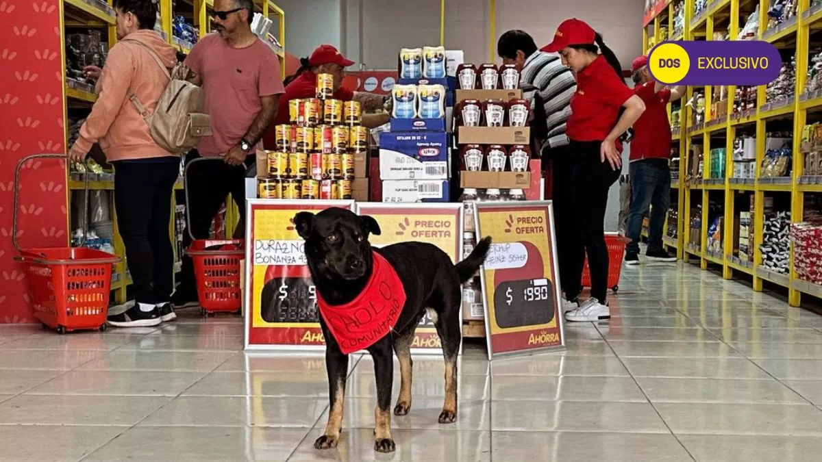 Supermercado Más Barato Chile (40)