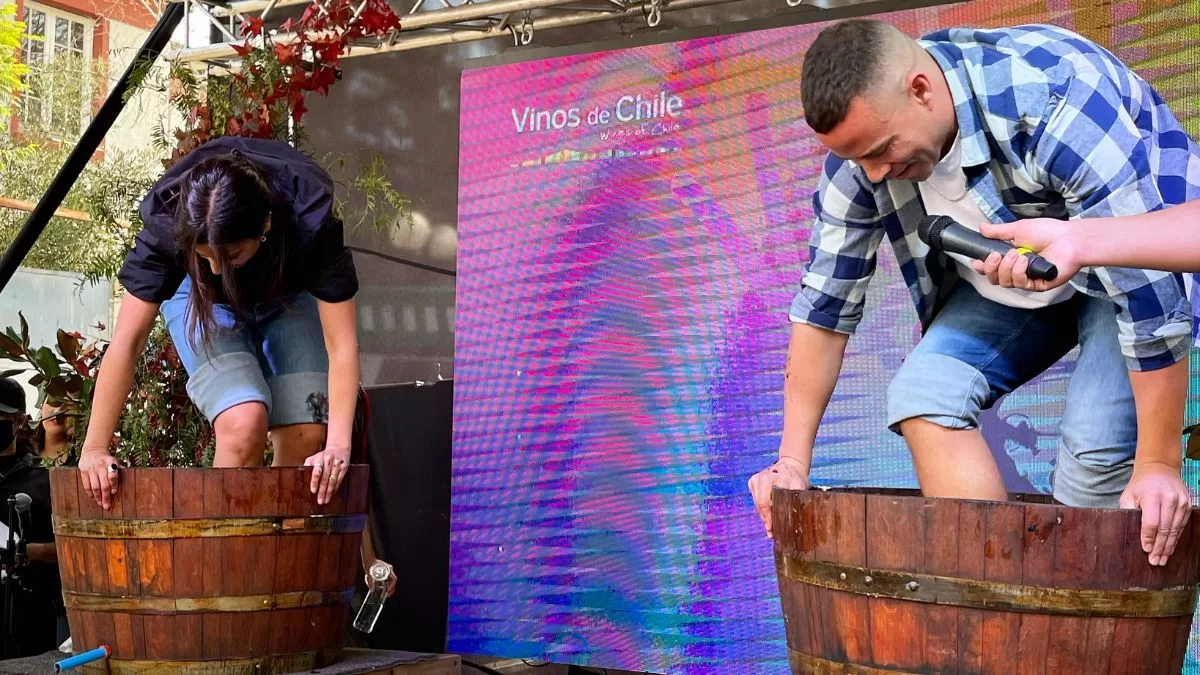 Vendimia Fest 2024 (2)