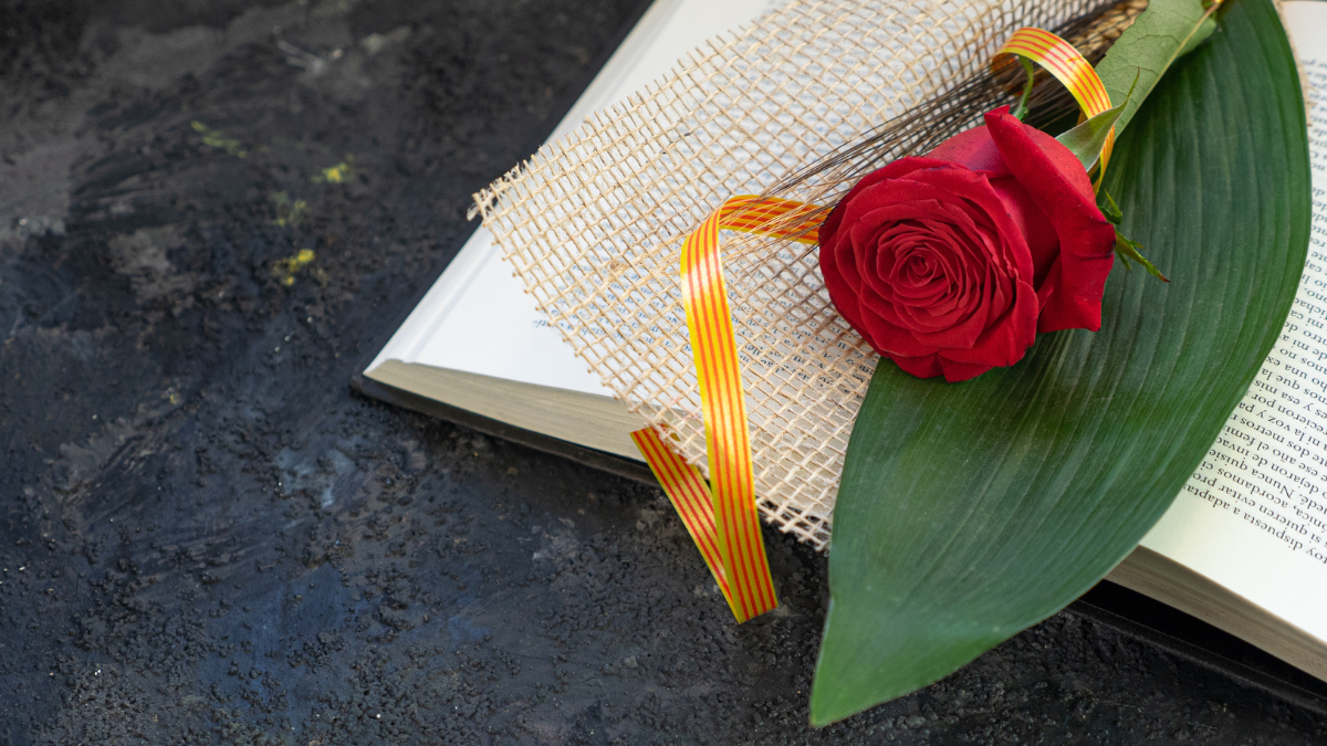 Día del Libro 2024: De dónde proviene la tradición de regalar una rosa y un libro que es cada vez más común en Chile