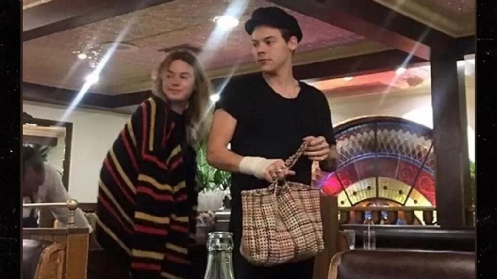 Harry Styles Y Camille Rowe