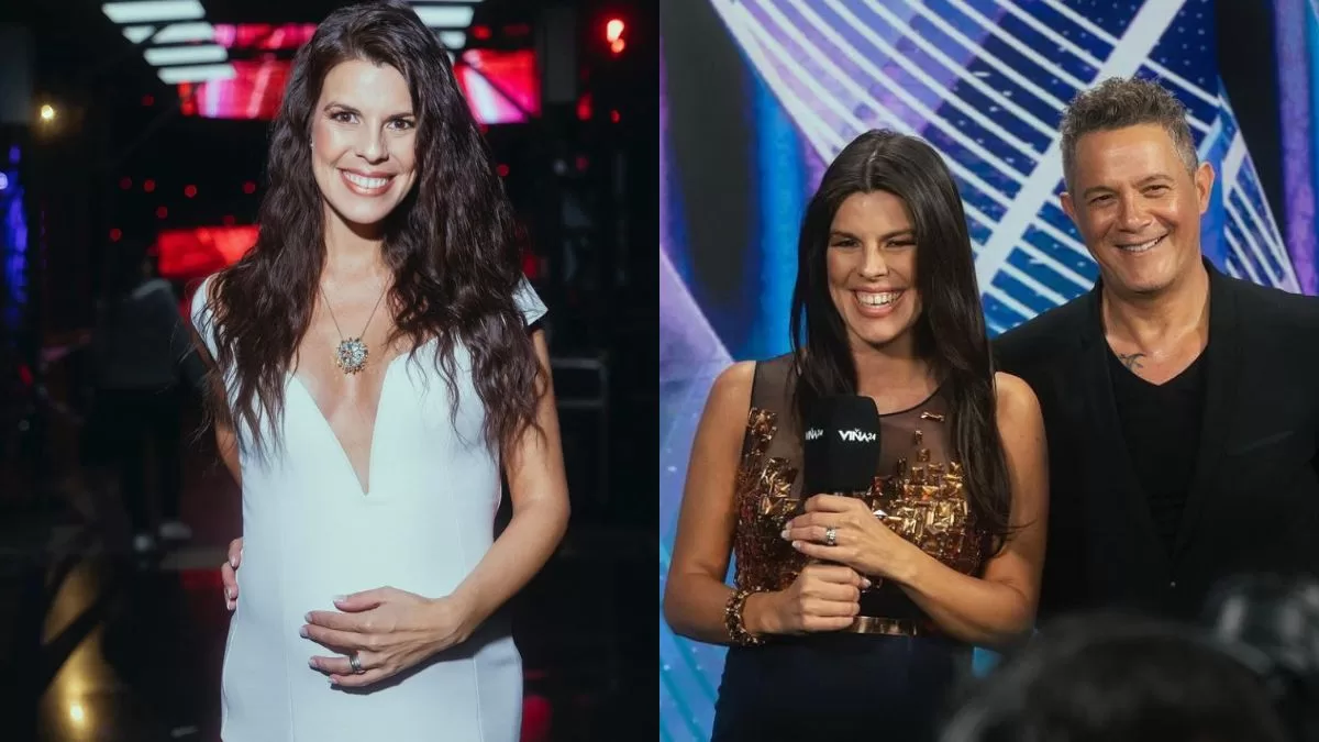 Conquistó con sus outfits en pleno Festival de Viña y así luce actualmente en su avanzado embarazo: "Cambiamos las noticias por pañales"