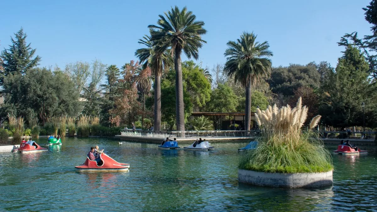 Ofertas De Trabajo (56)