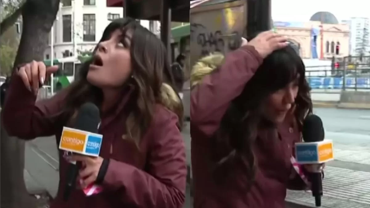 ¡Indigante situación! Reconocida periodista de CHV sufrió feroz ataque mientras despachaba en vivo