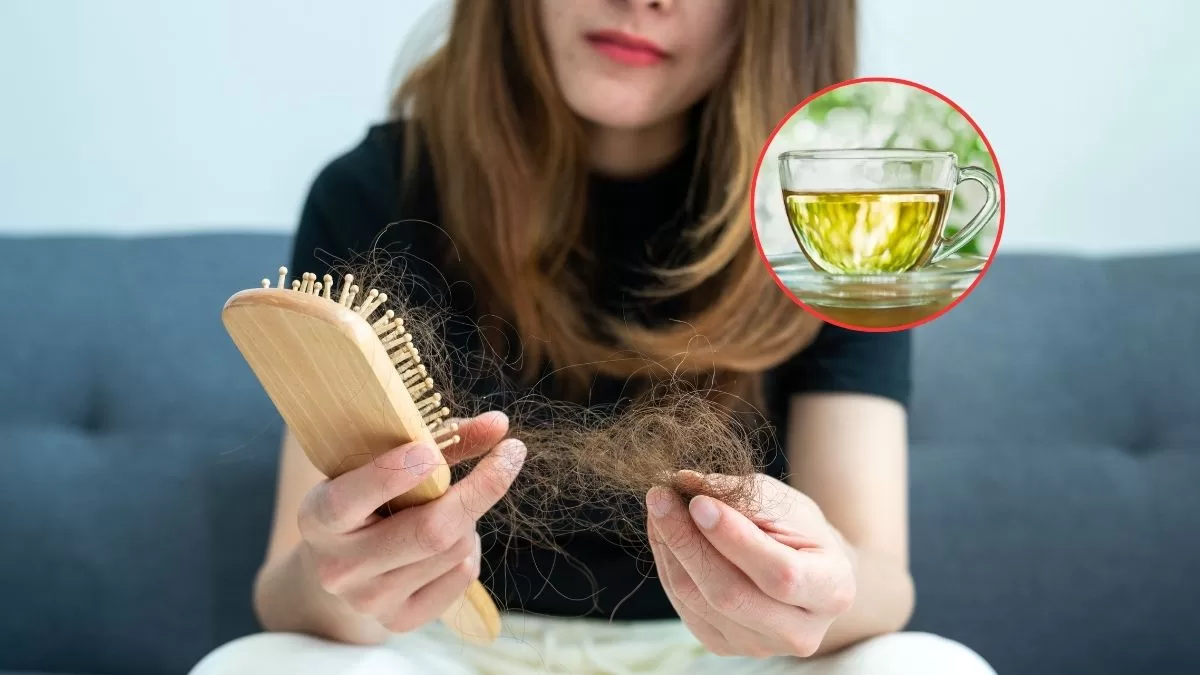Esta es la milagrosa planta medicinal perfecta para evitar la caída del cabello: se encuentra en varios rincones de Chile
