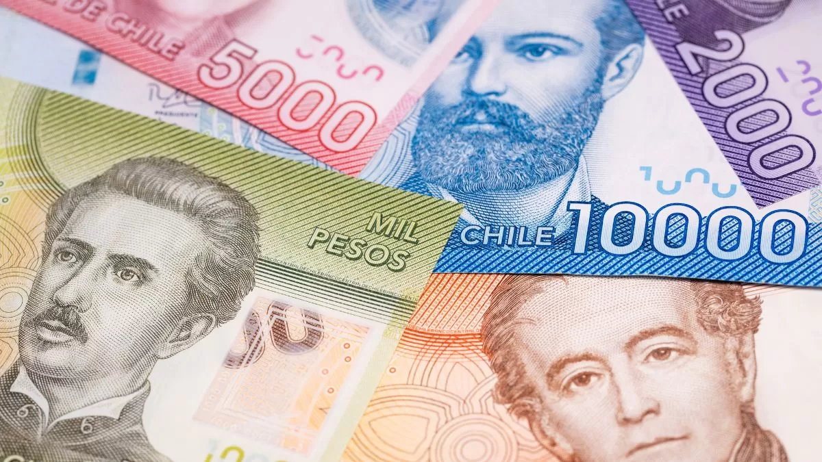 Ingreso Mínimo Garantizado (1)