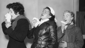 Estas son las plantas medicinales que son muy comunes en Chile y que te ayudarán a combatir la gripe