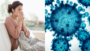 Bacteria asesina: Cómo se contagia y qué produce la Streptococcus Pyogenes