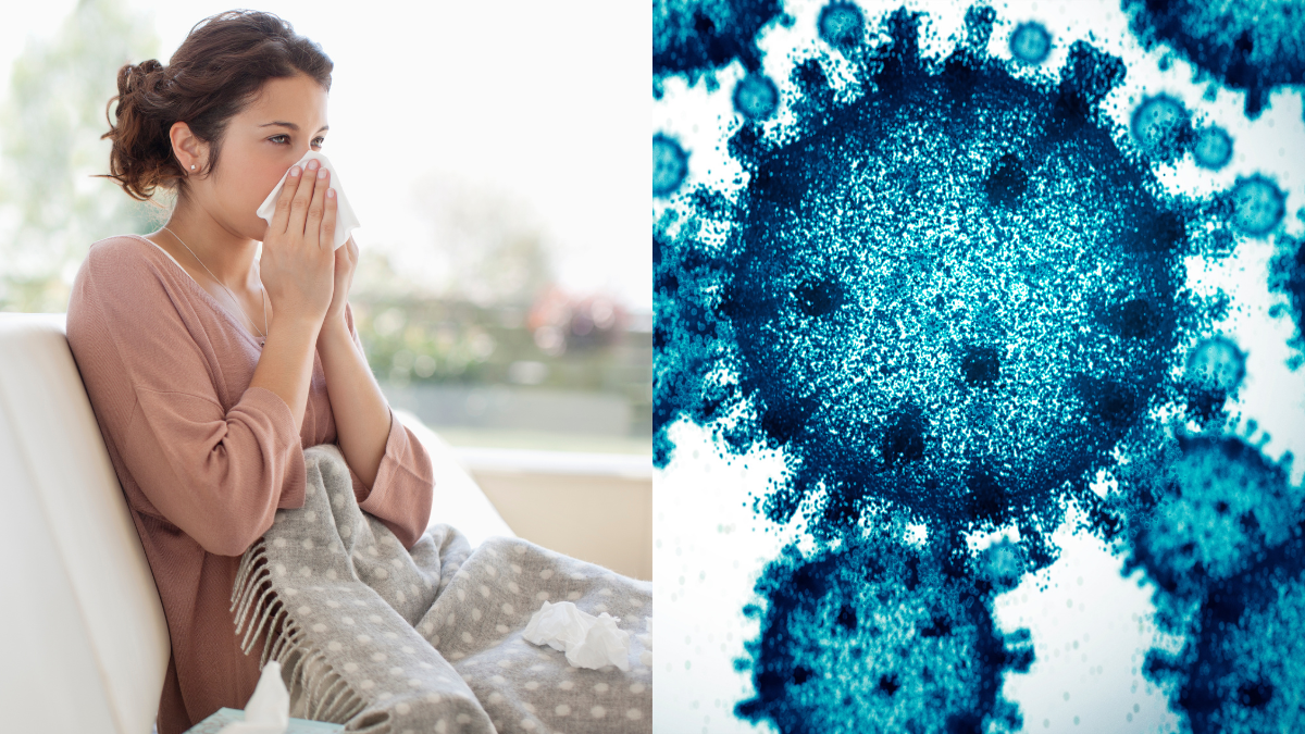 Bacteria asesina: Cómo se contagia y qué produce la Streptococcus Pyogenes