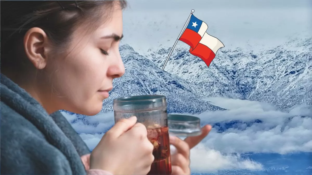 El poderoso té que ayuda a combatir el frío y genera una sensación de calor: es muy común en Chile