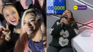 "Fue muy bonito, casi me dio una aneurisma de la felicidad, quedé con dolor de cabeza todo el concierto"