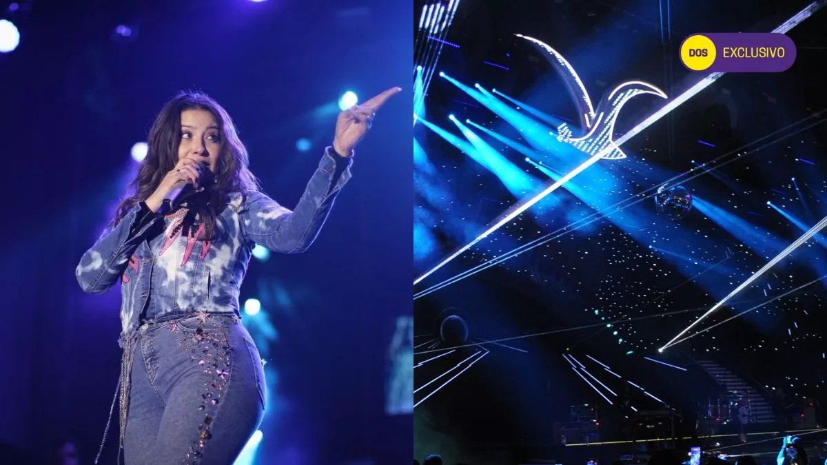Querida cantante chilena y figura de TV sorprende tras postular a dos conocidas bandas al Festival de Viña 2025: "Me gustan..."