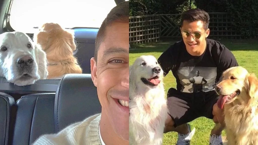 Alexis Sánchez Atom Y Humber