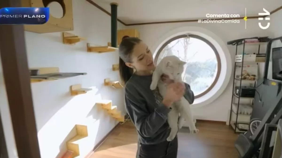 Carla Jara mostró el interior de su casa: Tiene un espacio dedicado a sus mascotas fallecidas