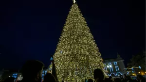 Navidad 2024: Recomendaciones para pasar una feliz fiesta