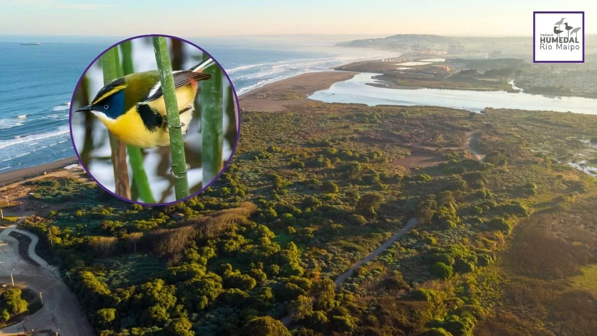 Paseos Cerca De Santiago (3)