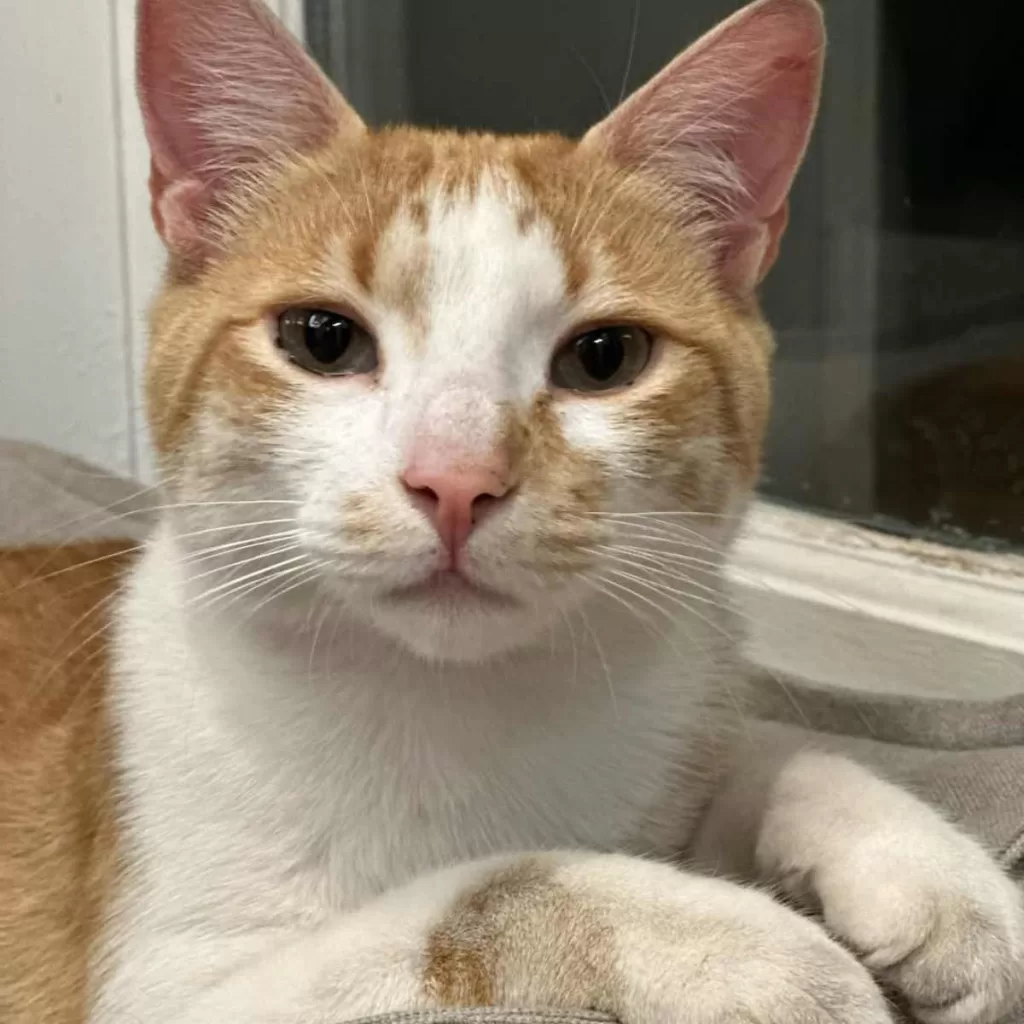 Créditos: Instagram