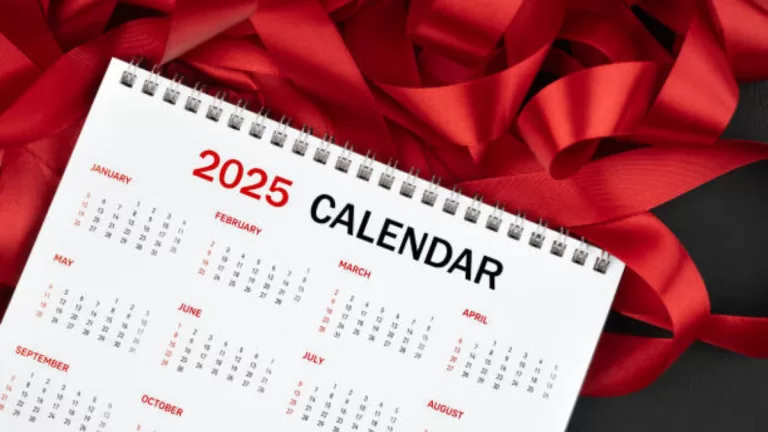 Feriados en Chile 2025: ¿Cuántos días libres tendrá este nuevo año?