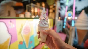Las 10 mejores heladerías de Santiago en 2025: conoce el ranking del verano
