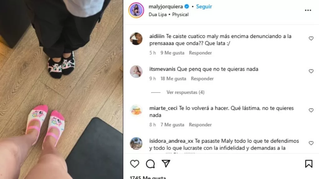 Maly Jorquiera 1 (2)