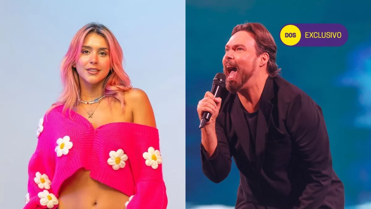 Festival De Viña (11)