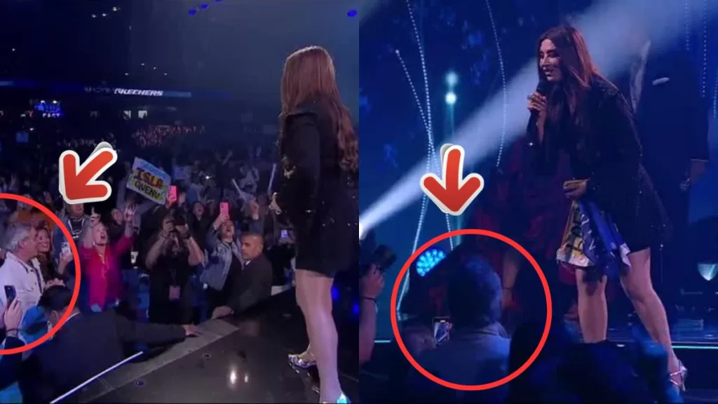 Festival De Viña (13)