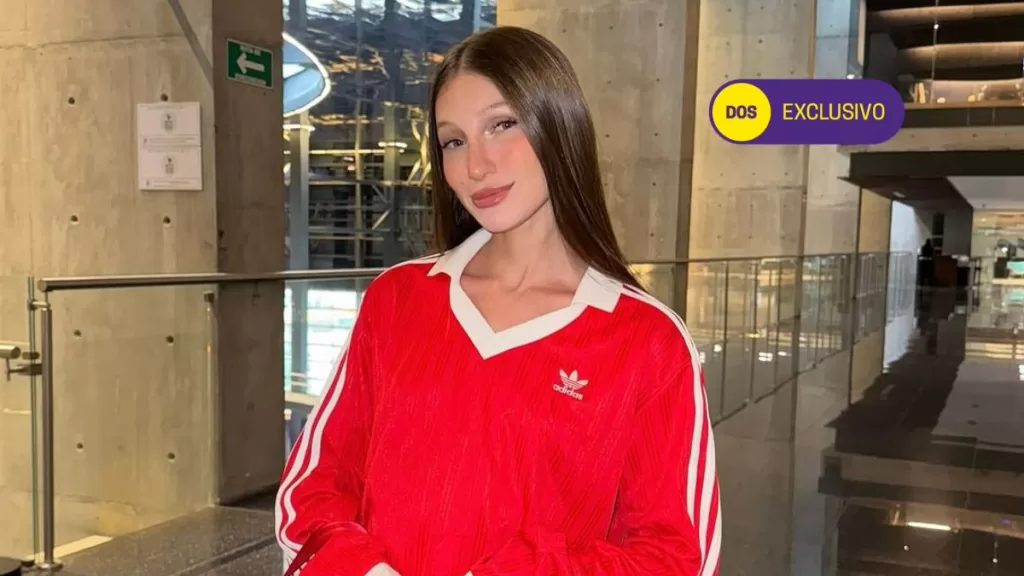 Festival De Viña (3)