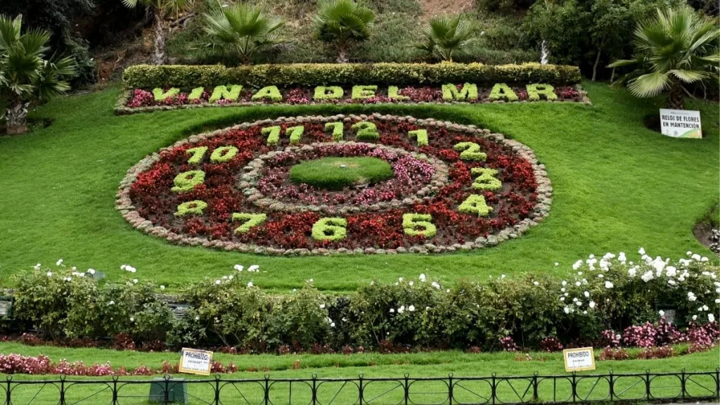 Panoramas En Viña Del Mar