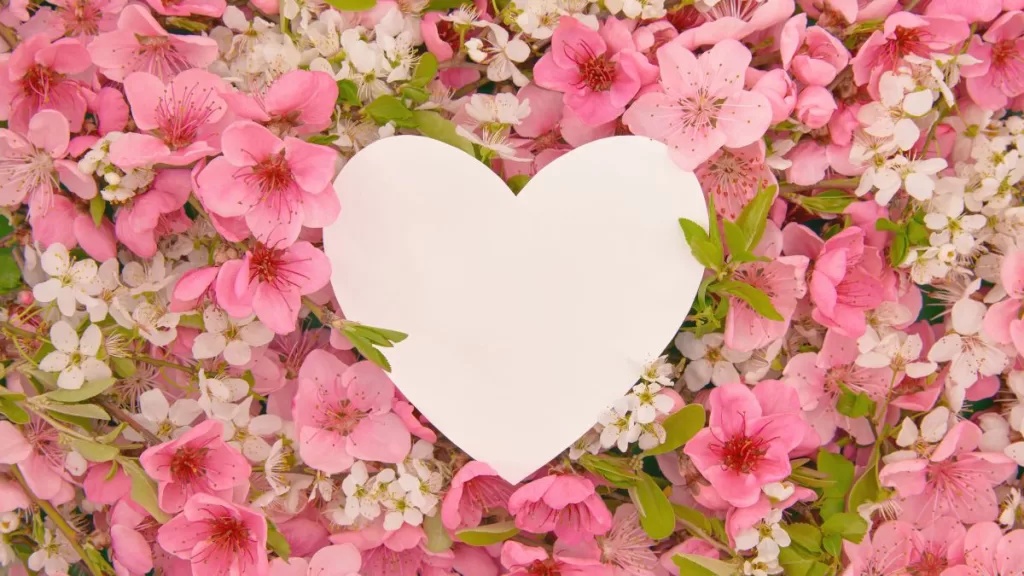 Plantas 14 De Febrero