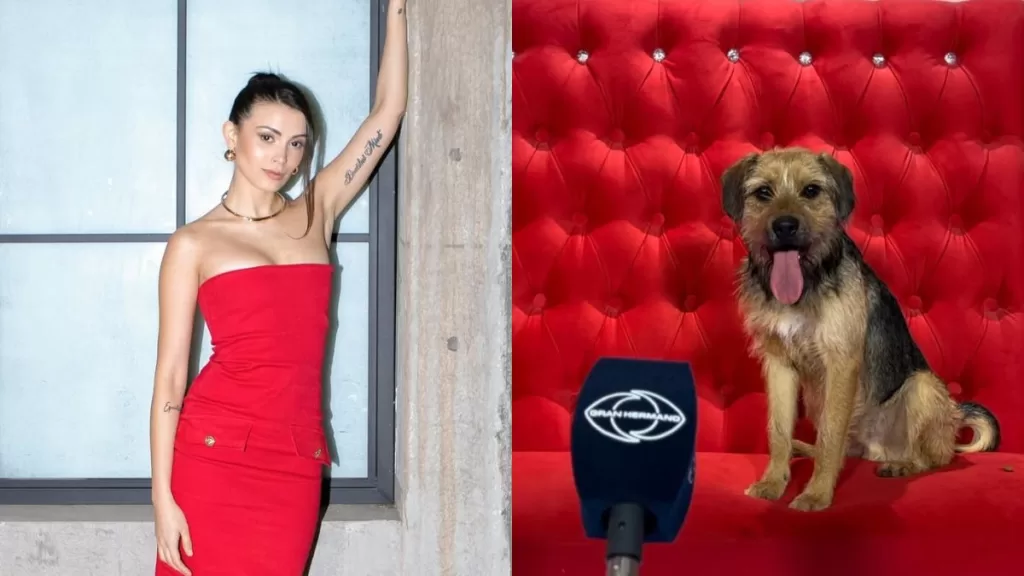 Cony Capelli  Bigote