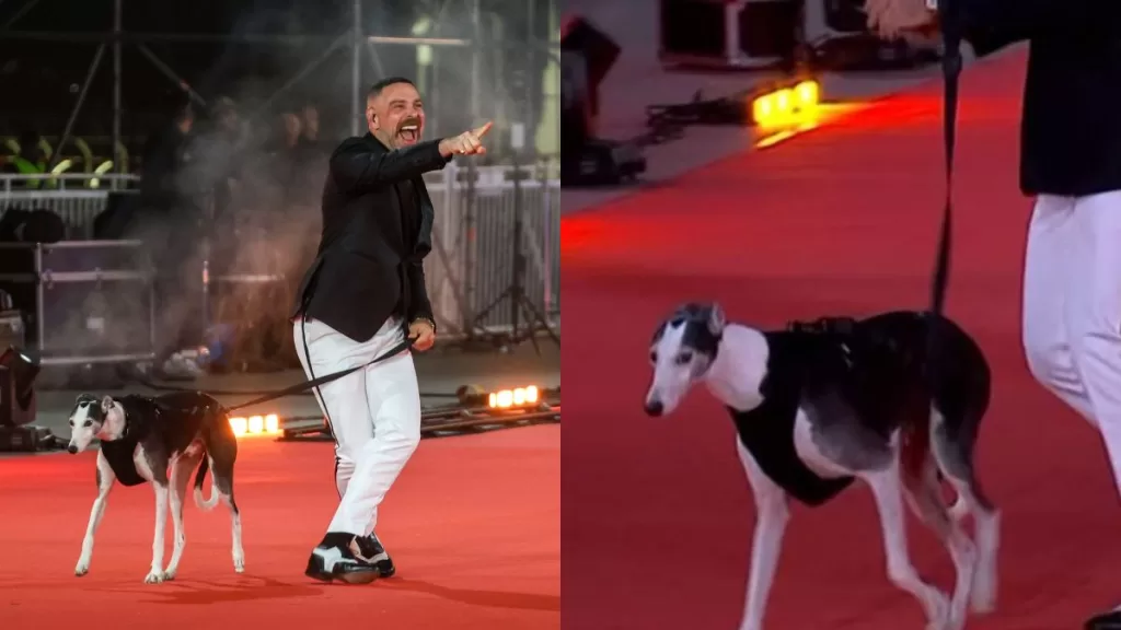 José Antonio Neme  Gala