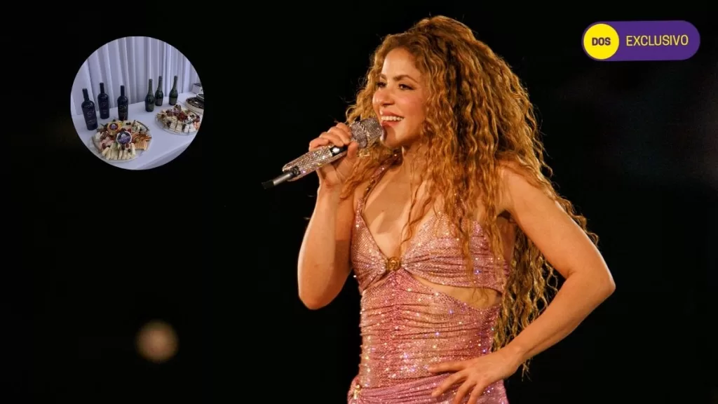 Shakira En Chile