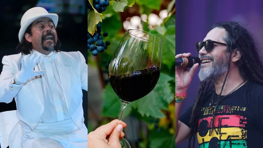 Fiesta De La Vendimia Marchigüe (7)