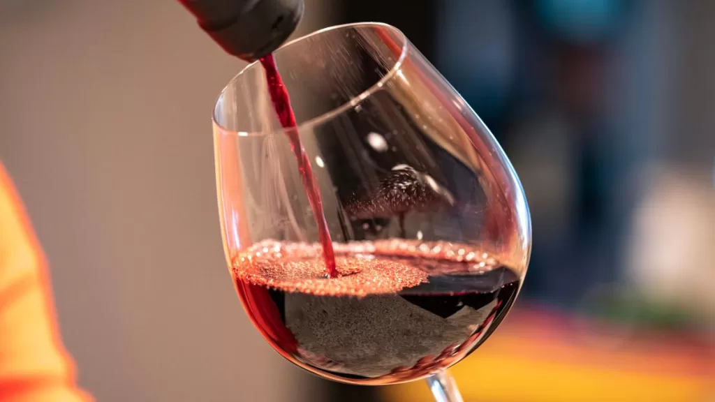 Fiesta De La Vendimia Ñuñoa