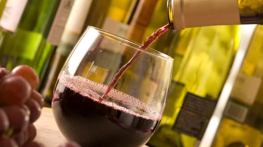 Fiesta De La Vendimia Ñuñoa (2)