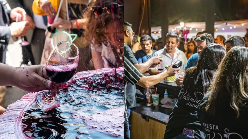 Fiesta De La Vendimia Curicó