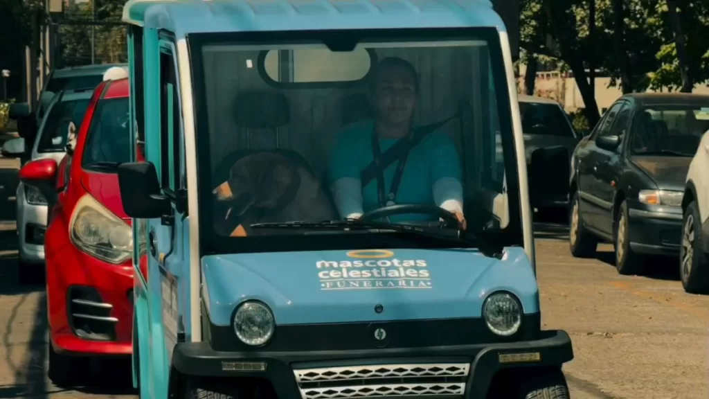 Mascotas Celestiales (1)