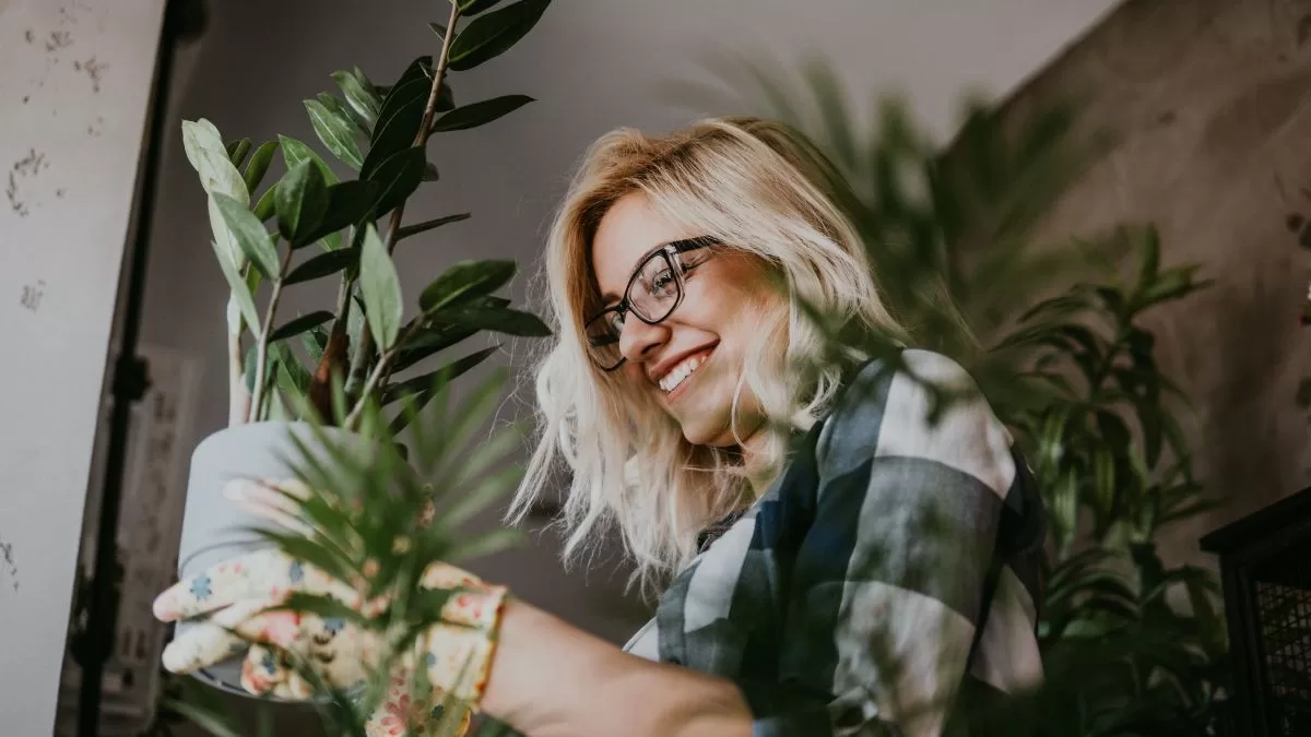 Plantas De Interior (6)