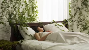 Plantas Mala Suerte (2)