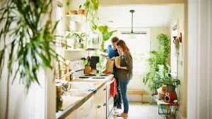 Plantas Para La Cocina