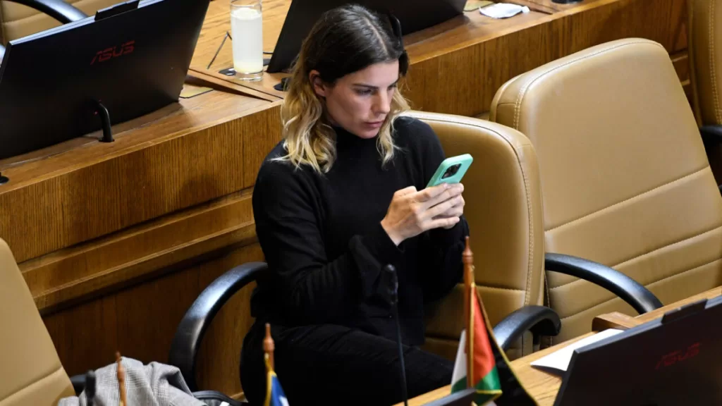 Diputada Maite Orsini