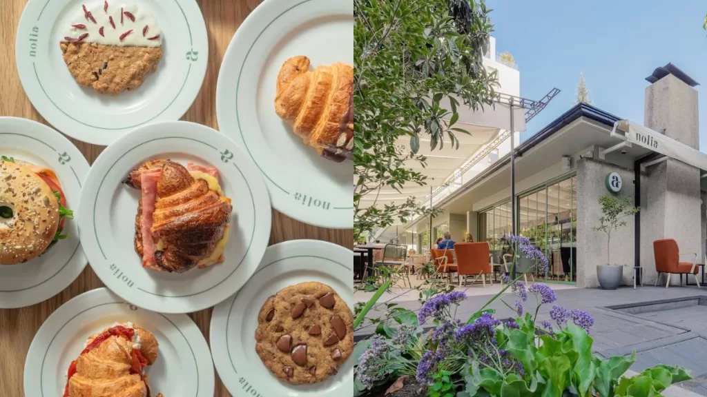 Nolia Brunch Bar