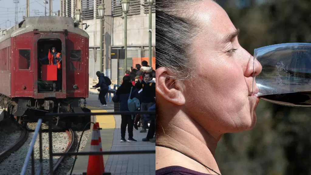 Tren Del Recuerdo  Fiesta De La Vendimia