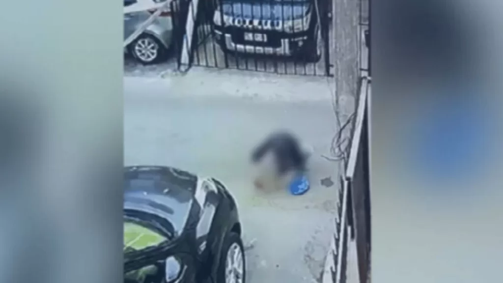 Diseño Sin Título (1)