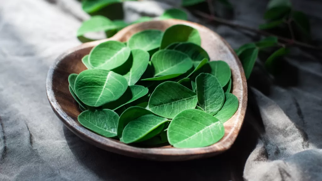 Moringa